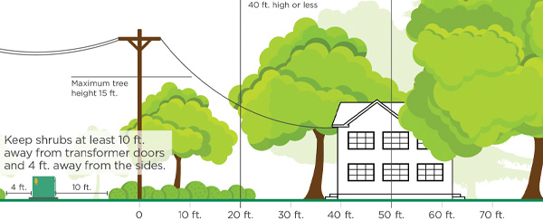 Landscape Today, Save Tomorrow