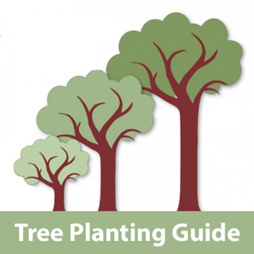Tree Placement is Important for Safety and Service Reliability