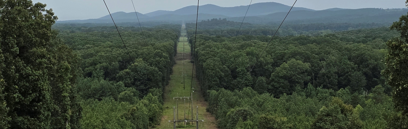 Power Lines