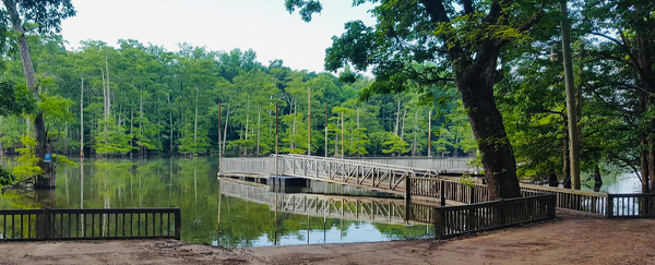 MEMBER SPOTLIGHT: Where Nature and History Meet - Potlatch Cook’s Lake
