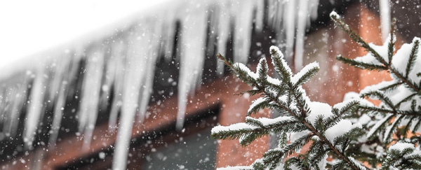 Factors That Impact Your Electric Bill