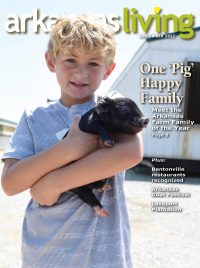 Link to current issue of Arkansas Living